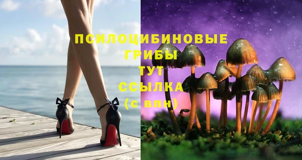 СК Алексеевка