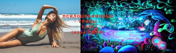 СК Алексеевка